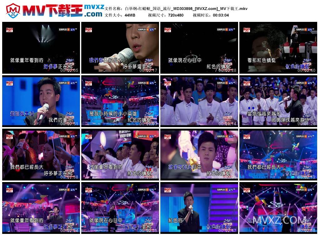 白举纲-红蜻蜓_国语_流行_MD303898